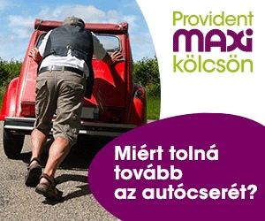 Maxi banner 1